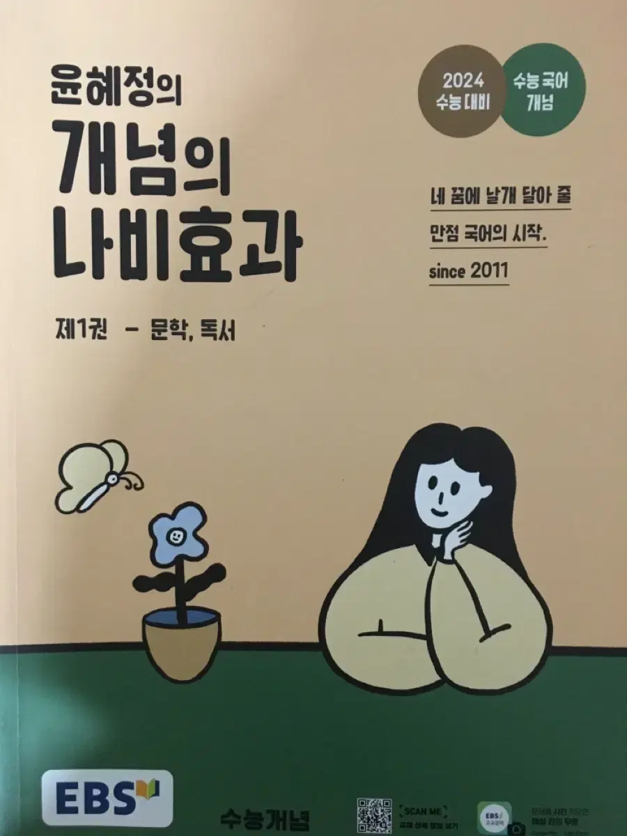 윤혜정 개념의 나비효과